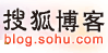 博客/网站调查